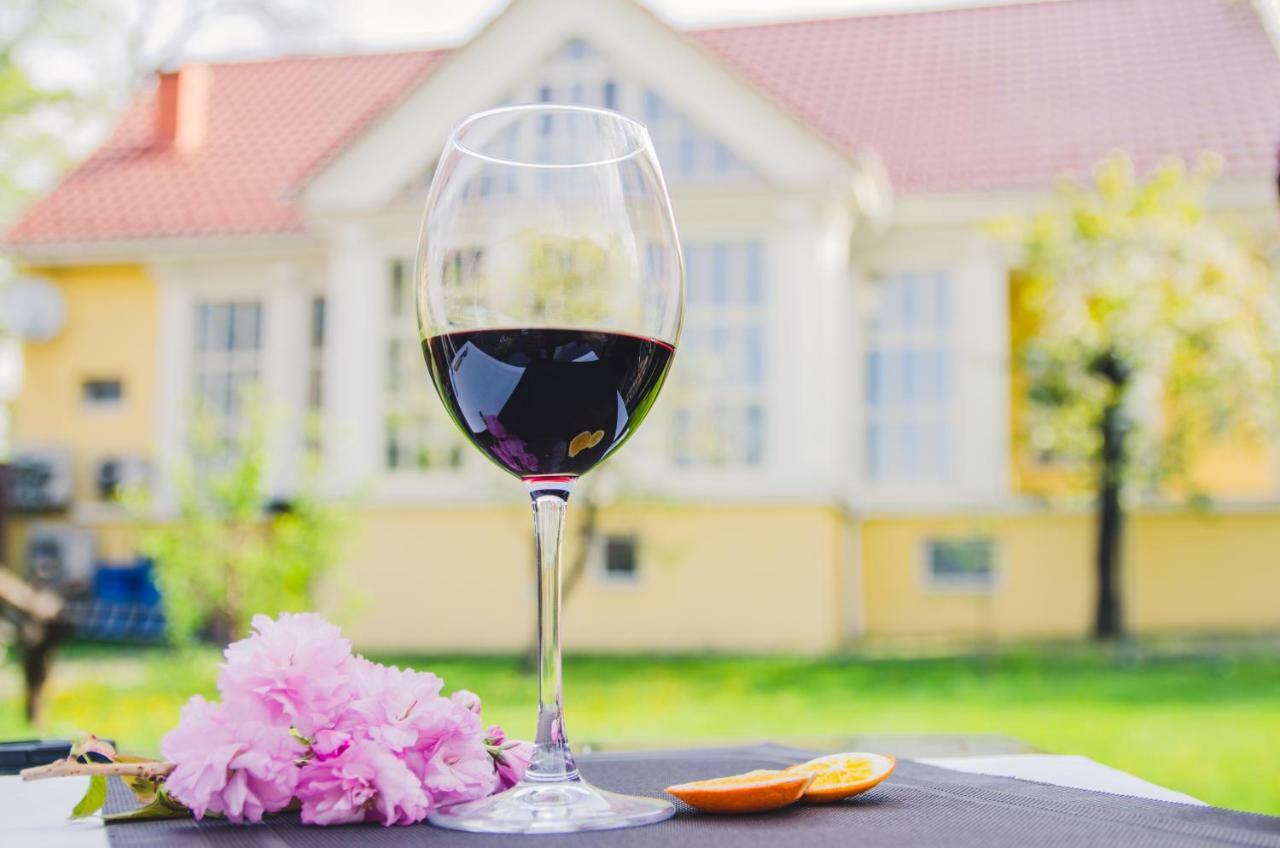 Boutique Hotel Villa P Oezjhorod Buitenkant foto